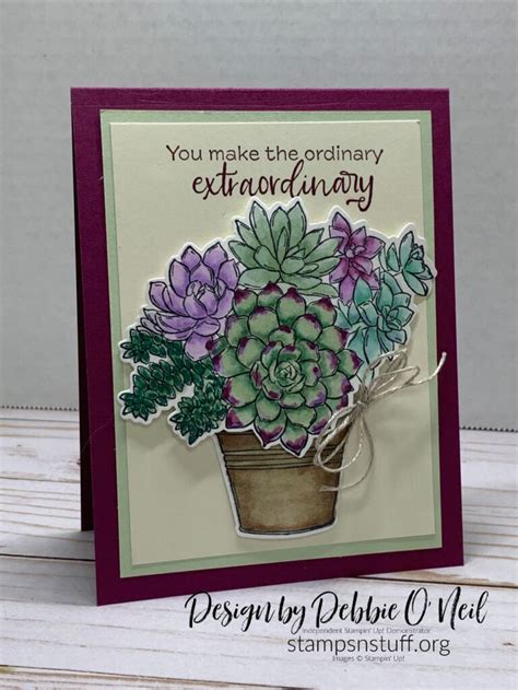 Simply Succulents And A Blends Tutorial Stampin Up Stamps N Stuff