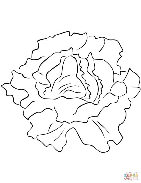 Lettuce Coloring Page Free Printable Coloring Pages