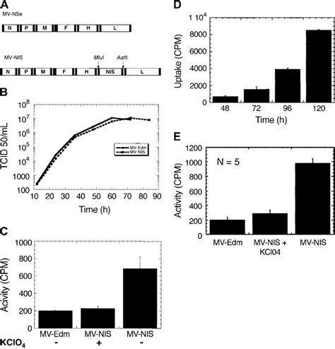 Engineering Rescue And Characterization Of Mv Nis A Schematic