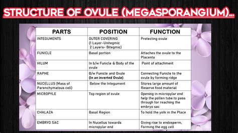 STRUCTURE OF OVULE Megasporangium Female Reproductive Part Gynoecium