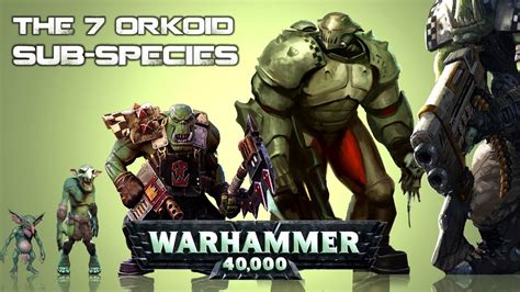 List Of All Ork Species In Warhammer 40K Universe YouTube