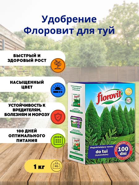 Удобрение Florovit (Флоровит) длительного действия для туй 100 дней ...