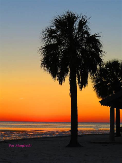 Palm Tree Sunset - NatureCoaster.com