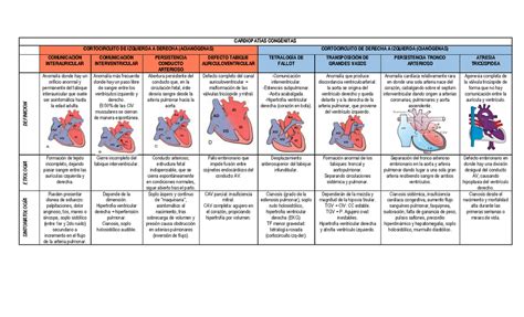 Clínicas Cardio CARDIOPATÍAS CONGÉNITAS CORTOCIRCUITO DE IZQUIERDA A