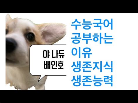 수능 국어 공부해야 하는 이유 1 돈문제가 안 생길려면 돈을 공부해야 한다 YouTube