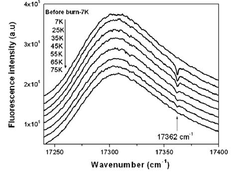 Excitation Spectra Of Eu 3 Doped 16caf 2 Á73b 2 O 3 Á8al 2 O Glass Download Scientific Diagram