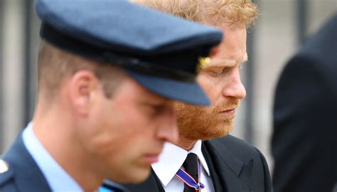 Perché il ritratto di William e Harry è sparito sospetti sui Reali