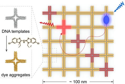 Twodimensional Excitonic Networks Directed By Dna Templates As An