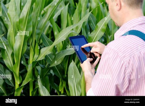 Field corn fertilizer hi-res stock photography and images - Alamy