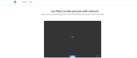 What is the best webcam filter tool online? Use filters to make innovative pictures.