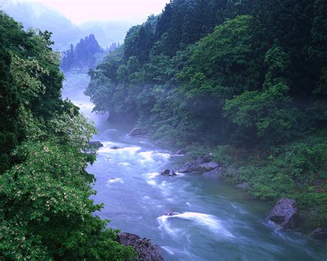 Deirdre Fay | Mist at Tone River ca. 2000 Minakami, Gumma Prefecture, Japan