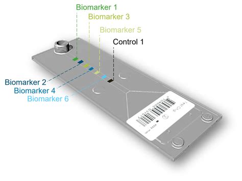 Illustration Of ViroGates Multiplex Microfluidic Chip And Its