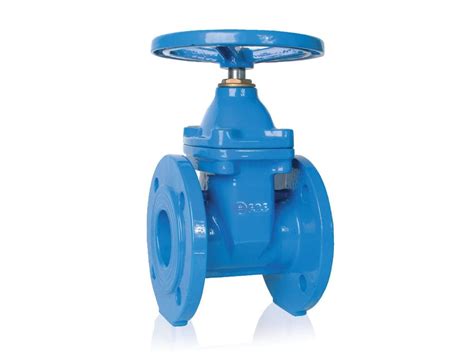 Carbon Steel Gate Valve The Ultimate Faq Guide Kinvalve