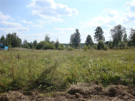File:Бельское, улица Центральная.jpg - Wikimedia Commons
