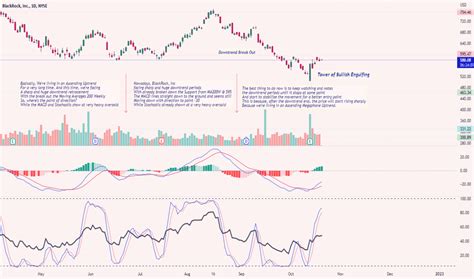 Blk Stock Price And Chart Nyse Blk Tradingview