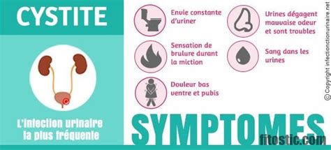 Quel Traitement Sans Ordonnance Pour Une Infection Urinaire