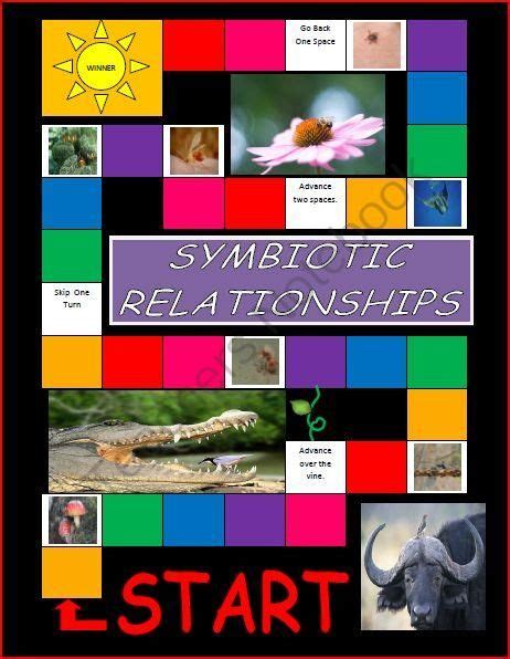 Symbiotic Relationships Board Game Giochi Per Bambini Attività Di