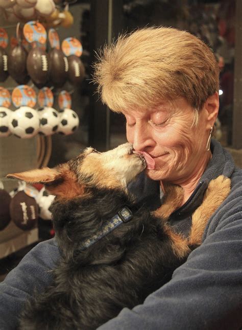 Dorkie Mixed Dog Breed Pictures, Characteristics, & Facts