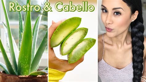 Beneficios Del Aloe Vera En Rostro Y Cabello YouTube