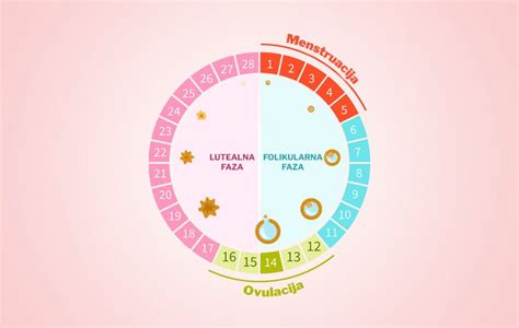 Kako se menja menstrualni ciklus posle 40 godine života eKlinika