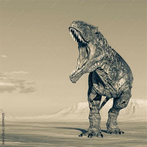 Giganotosaurus Is Angry With The Jaws Wide Open On Sunset Desert Stock Illustration Adobe Stock