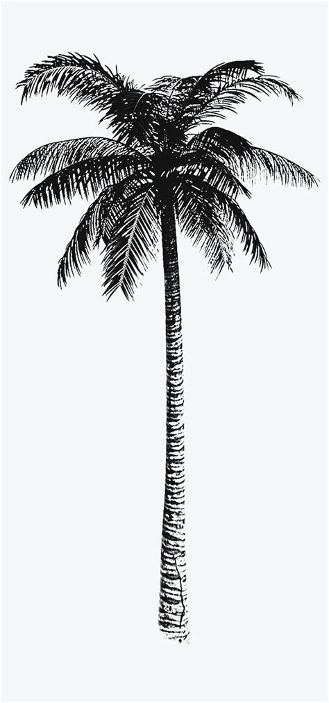 Tree Tattoo Men Tree Tattoo Designs Tattoo Design Drawings Palm Tree