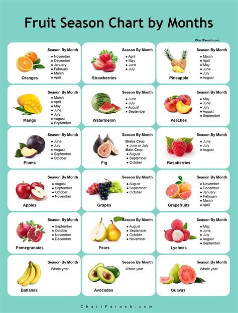 Fruit Season Chart By Month And Rainy Season