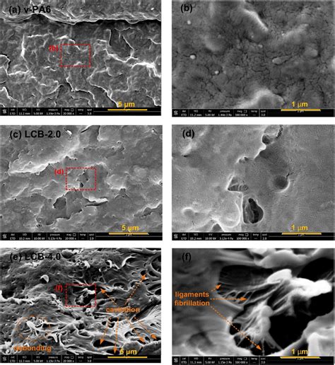 Sem Micrographs Of The Impact Fracture Surface For A B V Pa C D