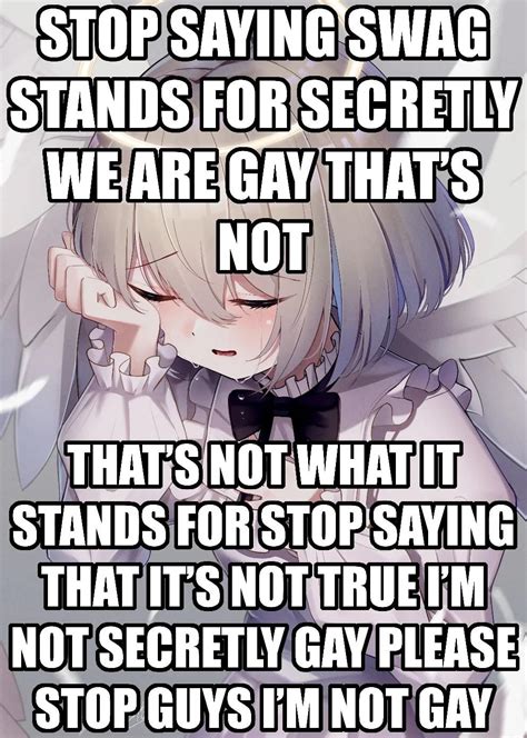 I Swear That Swag Doesn T Stand For Secretly We Are Gay R Lies