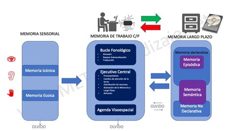 M Todo Chunking T Cnica Efectiva Para Mejorar La Memoria Meta