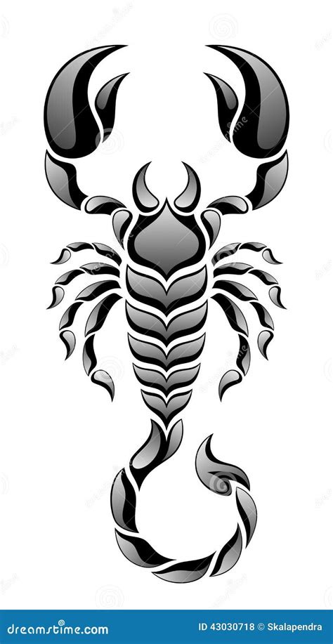 Black Scorpion Vector Realistic Illustration Of A Scorpio On White