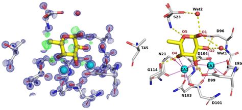 Stick Representation Of The K X Ray Structure Of The