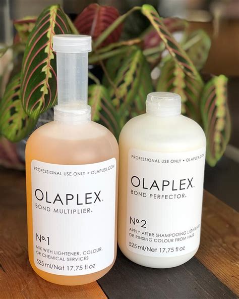 Olaplex Bond Protecting Colour Treatment — Hays Salon