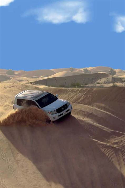 Evening Desert Safari in Abu Dhabi | Abu Dhabi Evening Tour