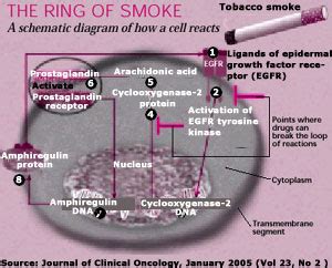 Smoking Causes Cancer