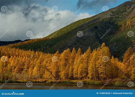 The Colours Of Autumn Are Cold Water Rivers Of Magadan Stock Photo