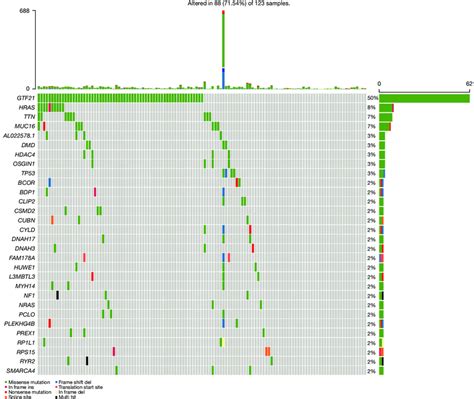 Mutational Landscape Of Somatic Alterations In The Cancer Genome Atlas Download Scientific