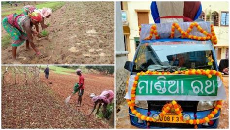 In Odishas Koraput Tribal Farmers Roll Out Mandia Rath To