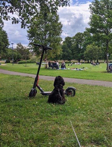 Dexter Victoria Park Edinburgh June Alljengi Flickr