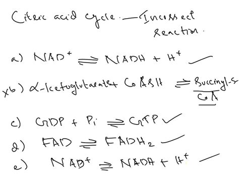 Solved The Citric Acid Cycle Also Known As The Tricarboxylic Acid