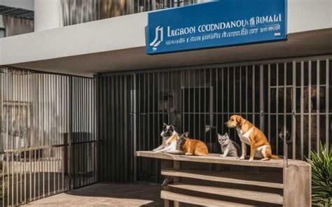 Entenda a Lei Sobre Animais em Condomínio Pet Vida Animal de estimação