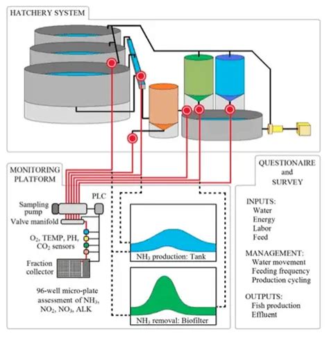 Aquaculture Systems - The Gardener