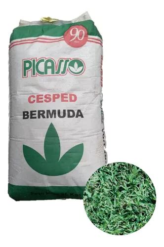 Semillas De Césped Picasso Bermuda chipica 25kg