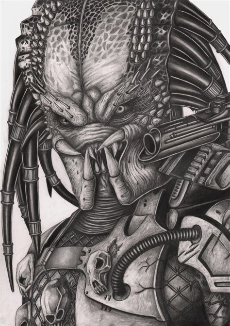 'Predator' graphite drawing by Pen-Tacular-Artist on DeviantArt