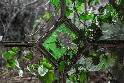 Ex Manicomio Di Mombello Asylum Psychiatric Hospital Green