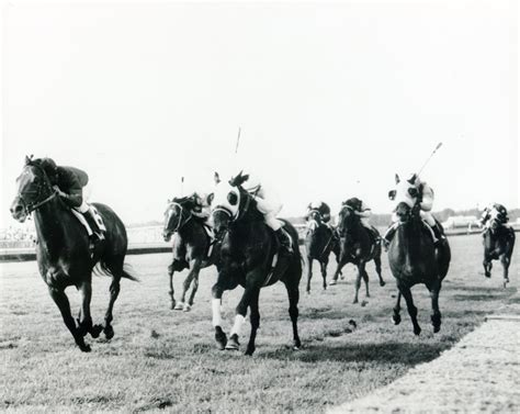 Dr. Fager (FL) | National Museum of Racing and Hall of Fame