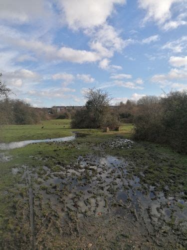 Best Hikes And Trails In Eastbrookend Country Park Alltrails