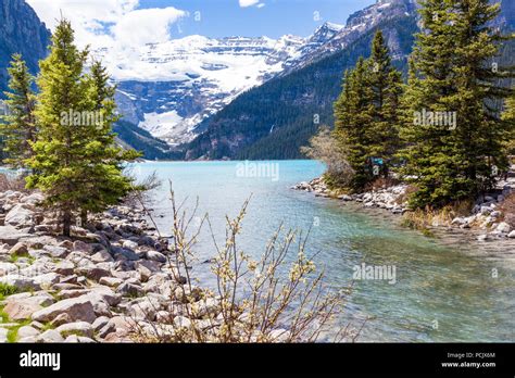 Lake Louise In The Rocky Mountains Alberta Canada Stock Photo Alamy