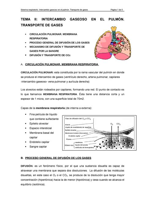 Apuntes Intercambio Gases Pulmon Transporte Gases Tema Ii