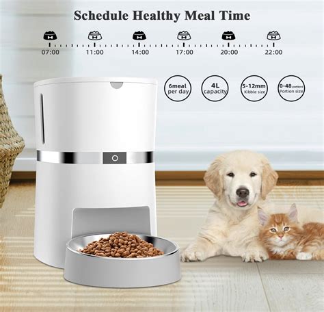 Automatische Voerbak Wit L Luxe Design Voor Katten Honden